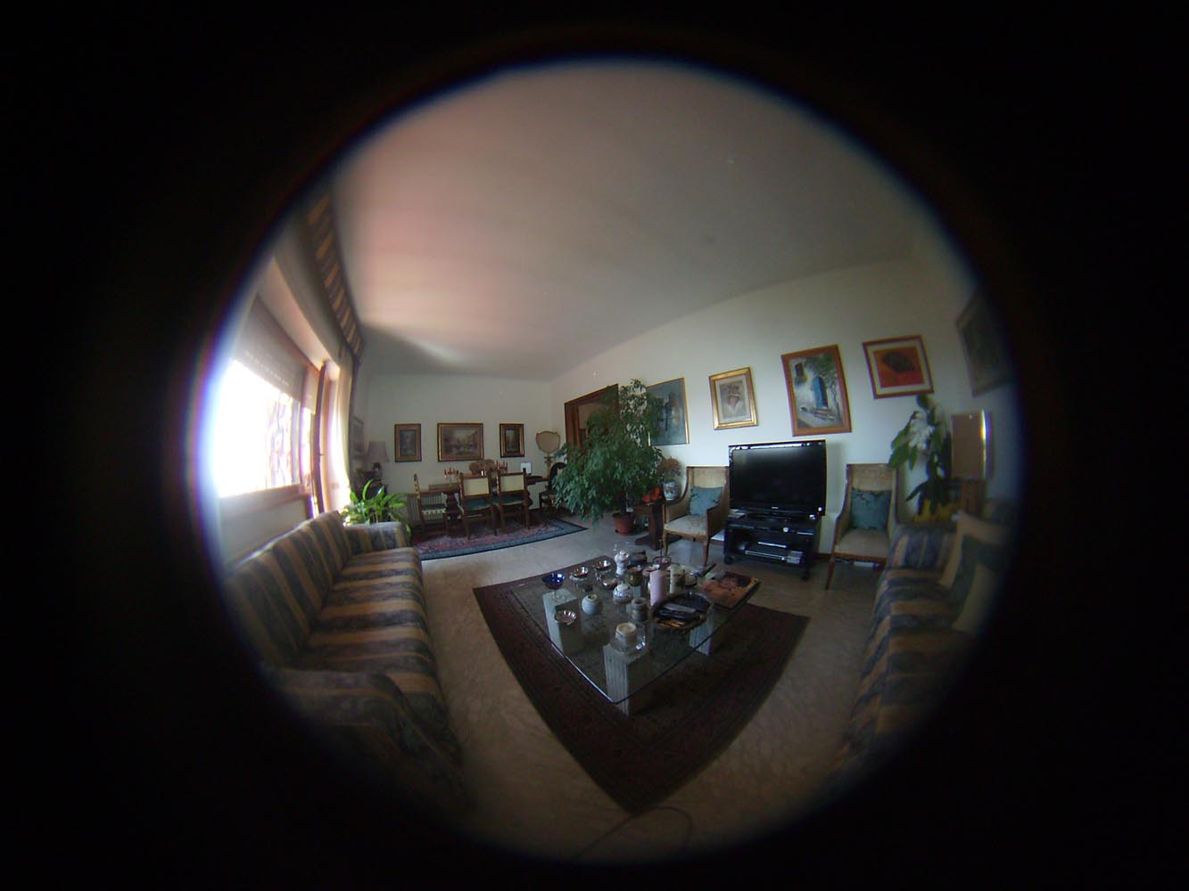 Virtual Tour