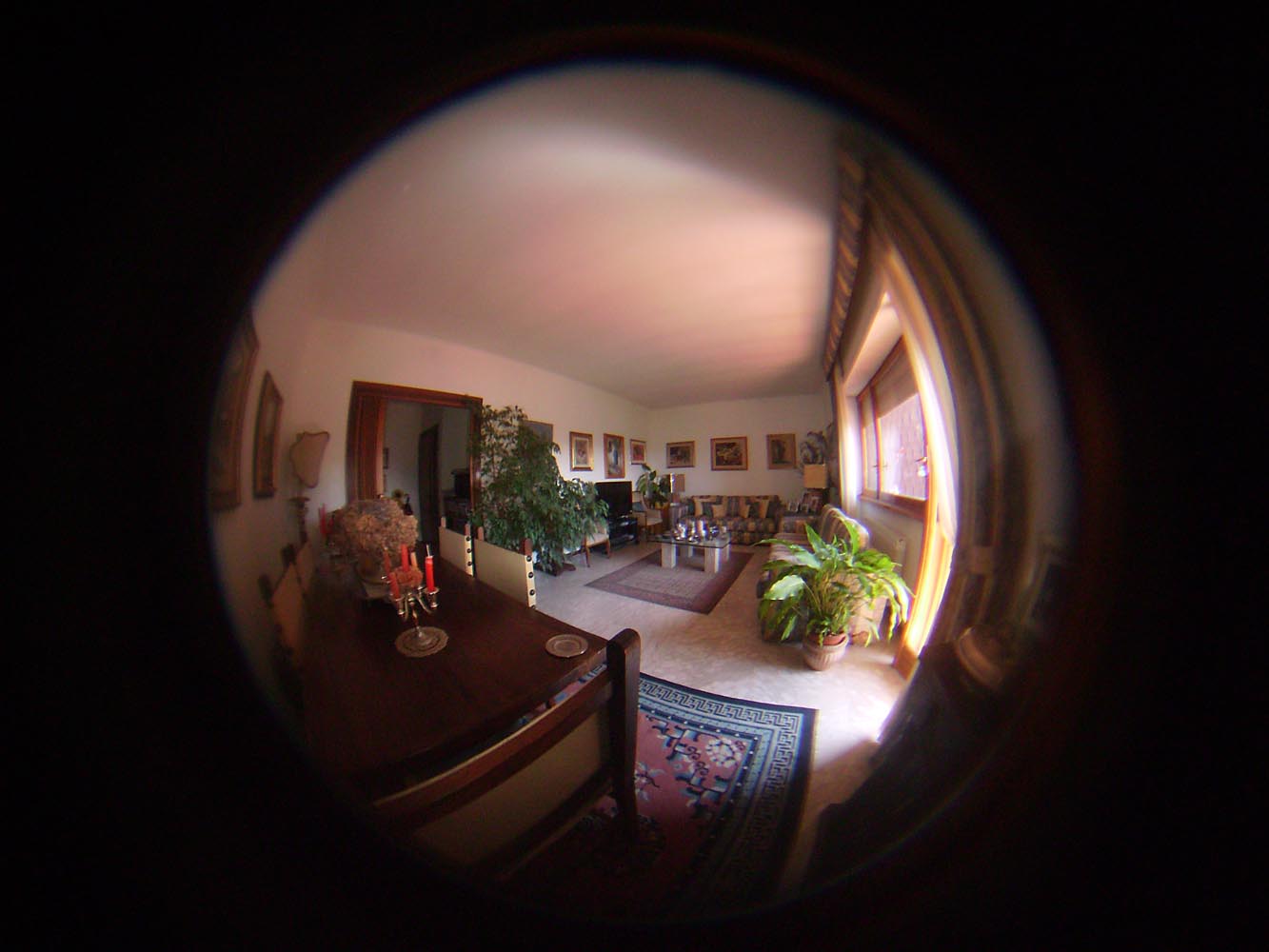 Virtual Tour
