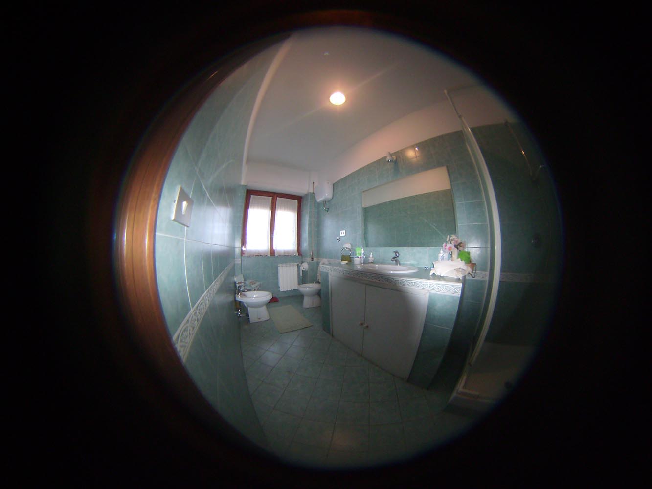 Virtual Tour