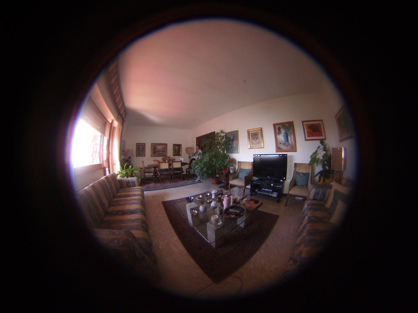 Virtual Tour